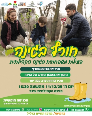 חורף סגינה